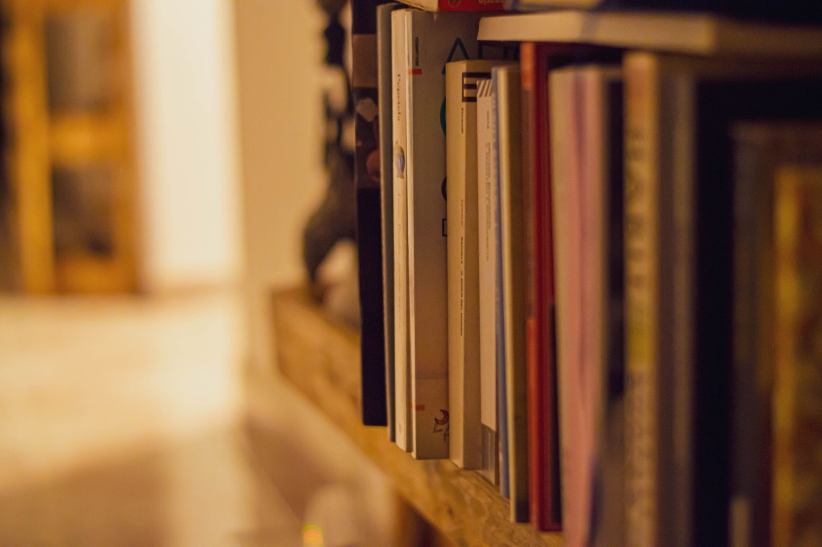 A warm, artistic close-up of books on a shelf with a soft blurred background.